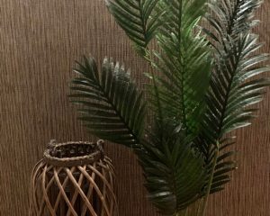 Palm in pot - 1m20 hoog - €8,00