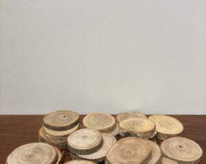 Kleine boomschijven - €0,50 / stuk