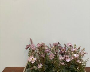Vaasjes - Leeg €1,00 / stuk - Gevuld met pluimpjes of bloempjes €2,00 stuk